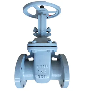 GOST Russian Standard 30C41H* NDN600 PN16 PN25 Casting Steel Rising Stem Flange Gate Valve thumbnail-1