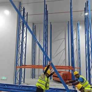 Industrial Cold Room Shelving System - Optimized for Meat & Seafood Storage Efficiency thumbnail-2