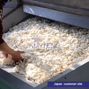 Garlic Ginger Dryer Machine Industrial Turmeric Onion Washing Slicing Drying Production Line thumbnail-4