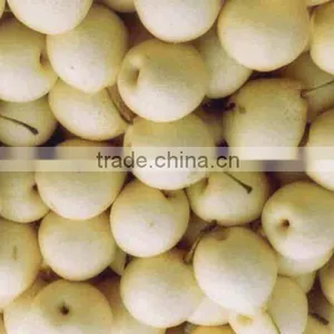 Shandong Fresh Ya Pear thumbnail-1