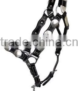 Leather Show Halter thumbnail-1