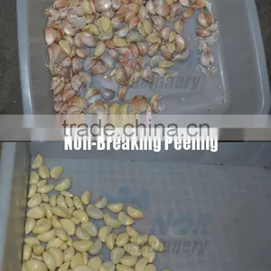 New Design Hot Sale Garlic Peeling Machines From Factory thumbnail-6