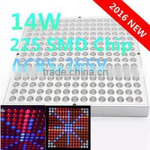 High Lumen 14w LED Grow Light 225pcs SMD LED Plant Grow Panel Best for Vegetables Grow thumbnail-1