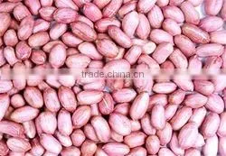 Peanut thumbnail-1