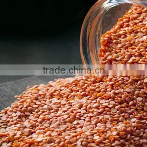 GREEN LENTILS, RED LENTILS, YELLOW LENTILS FOR SALE thumbnail-2