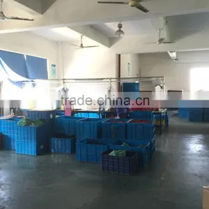 the Photoes of Our Factory thumbnail-6
