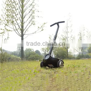 Two Wheel Handle Smart Balance Electric Scooter,electric Scooter With Handle thumbnail-3