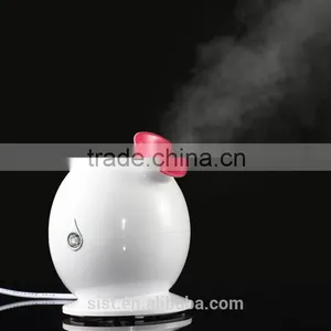 2016 Best Gift Home Use Hot Facial Mist Sprayer Electric Facial Steamer In Autumn and Winter thumbnail-1