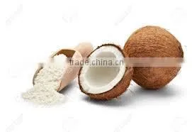 COCONUT FLOUR thumbnail-2