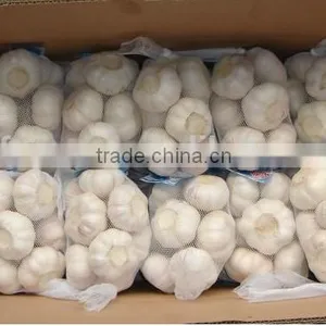 Beautiful Quality Chinese Pure White Garlic 2016 Crop thumbnail-1