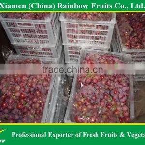 Fresh Red Sweet Seeded Grape Fruit Export From China thumbnail-4