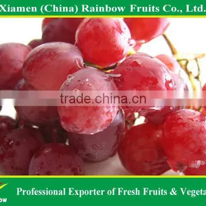Fresh Chinese Table Grape Red Globe Grape Red Grape to India Asia Market thumbnail-3