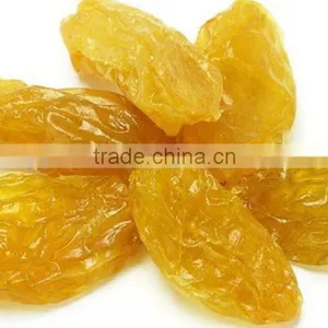 INDIAN ORIGIN QUALITY SEEDLESS GOLDEN RAISIN thumbnail-5