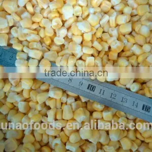 Purchase Good Quality Sweet Corn From China thumbnail-4