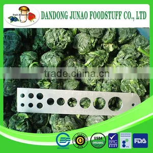 Greenhouse Advanced Production Cultivation Bulk Organic Spinach thumbnail-1