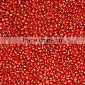 Adzuki Bean thumbnail-1