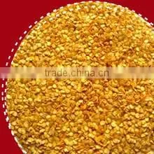 Yidu Chilli Seed thumbnail-1