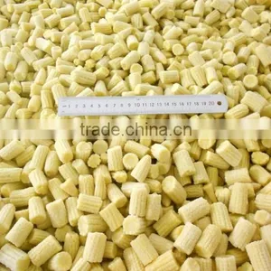Fresh Baby Corn Cut From Vietnam thumbnail-1