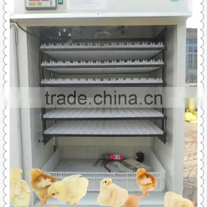 HHD Best Price and High Quality High Hatching Rate Large Capacity Egg Incubator Kerosene Incubator thumbnail-1
