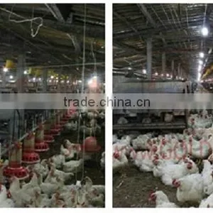 24 Holes Manual Egg Nest Box For Chicken House thumbnail-5