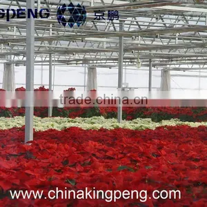 Multi-span Glass Greenhouse for Flowers thumbnail-1