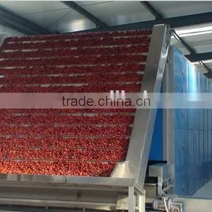 Continuous Scallion Slices Cubes Drying Machine thumbnail-1