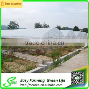 Quickly Delvery China Greenhouse for Commerical thumbnail-1