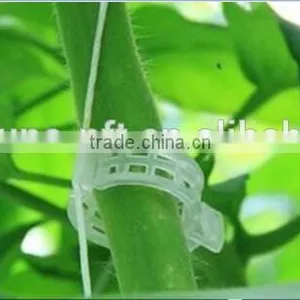 Agricultural Clip Tomato Clip 25mm thumbnail-6
