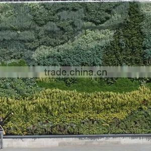 GNW GLW058 Best Plants for Vertical Garden Wall Ornament Flower Wall Decor thumbnail-1