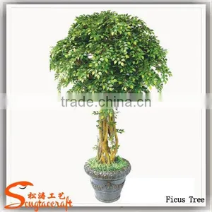 Guangzhou Supplier Artificial Ficus Tree Home Decoration Artificial Ficus Tree thumbnail-3