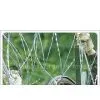 Razor Wire Barbed Tape thumbnail-1