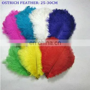 25-30cm Colorful Ostrich Feather For Wedding Dress 2014 thumbnail-1