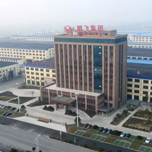 Jiangsu Pengfei Group Co., Ltd. company overview - view 1 thumbnail