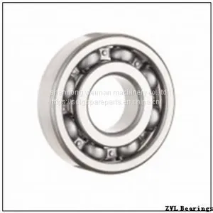 ZVL Bearings thumbnail-1
