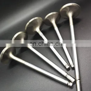 Spare Parts for Deutz Volvo D4d EC140B CDE2 Excavator Inlet Valve Engine Exhaust Valve 04509355 thumbnail-5