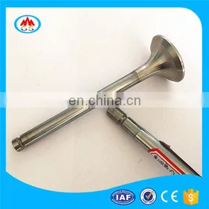 Mini Motorcycle Spare Parts Engine Valve For Polini 911 Gp3 thumbnail-1