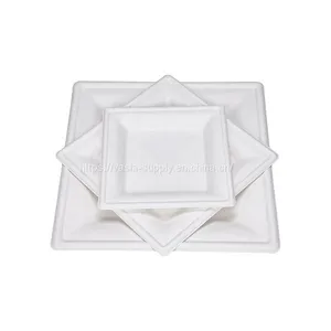 Low Price Biodegradable Disposable Bagasse ‎‎‎26 x 26 x 1.5 cm Square Dishes, for Barbecue, Birthday or Party. thumbnail-3