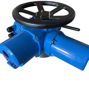 DZW Thrust Type Electric Actuator thumbnail-1