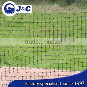 Bespoke Size Anti Hummingbirds Protection Netting Use for Hummingbirds , Anti Bird Protection Net,PE Agricultural Bird Netting thumbnail-2