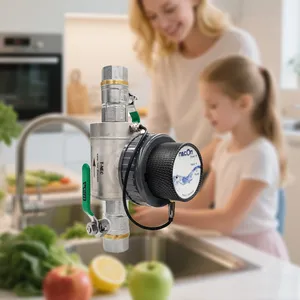 Household Water Purification and Disinfection Device, Copper Silver Ion Water Treatment Equipment, Whole House Water Purification thumbnail-3