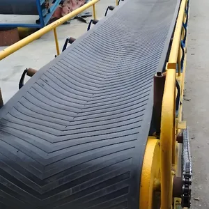 Customized Industrial Fixed Belt Conveyor DSJ80/30/2x30 for Mining, Heavy Duty Industrial Material Handling Equipment thumbnail-5