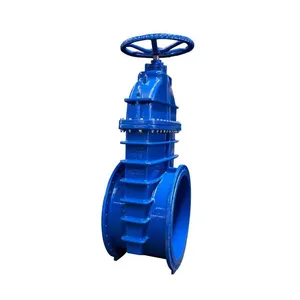 Hot Selling Large-diameter Gate Valves Ductile Iron Gate Valves thumbnail-3
