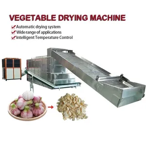 Automatic Fresh Garlic Peeling Washing Slicing Drying Line Industrial Garlic Slice Dehydrator Drying Processing Plant EPC thumbnail-1