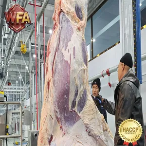 Whole Cow Slaughtering Line CE Certification Cattle Abattoir Machinery Beef Butcher Equipment Meat Processing Factory thumbnail-4