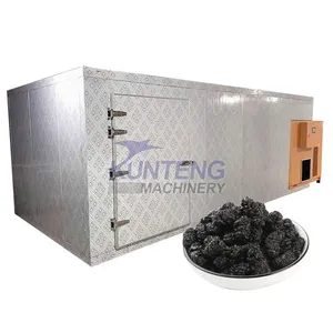 Fruits Drying Machine Vegetables Processing Drying Equipment EPC thumbnail-1