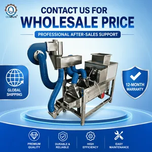 High Efficiency Cocoa Bean Shelling Machine 100kg/h Stainless Steel 304 Cocoa Peeler for Nut and Bean Processing thumbnail-4