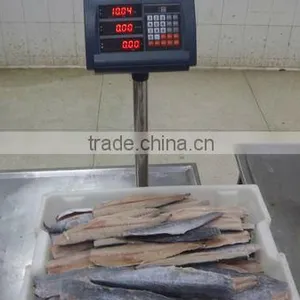 Spanish Mackerel New Filelts thumbnail-5