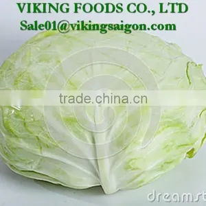 *Special _ Fresh Green Cabbage _ From Vietnam* thumbnail-1