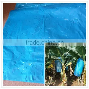 30micron Plastic Banana Cultivation Bag for Taiwan thumbnail-2