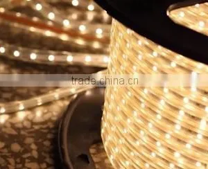 110/220V SMD 3528 Strip Light, 120-piece LED/m thumbnail-1